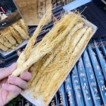 Ginseng Patch Factory - Asian Root Free Sample
