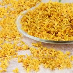 Organic Pu'er Tea Factory - Custom Loose Leaf