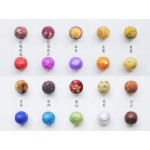 Lettuce Seeds Factory - Bird Food Vegetable Seeds