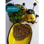 Black Goji Extract Supplier - Fruit Powder OEM