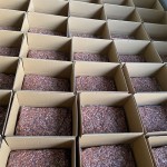 Frankincense Spices Manufacturer - Natural Source