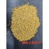 Changchun Golden Seed Agricultural Products Co., Ltd.