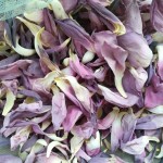 Lotus Flower Tea Factory - Custom Blend Blooming Tea