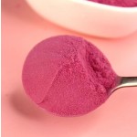 Dried Kiwifruit Manufacturer - Bulk Packaging