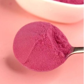 Dried Kiwifruit Manufacturer - Bulk Packaging