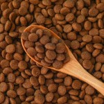 Epimedium Extract Factory - Custom Powder