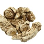 Angelica Root Slice Manufacturer - Sulfur-Free Custom