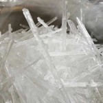 Chlorella Powder Manufacturer - Whole Plant