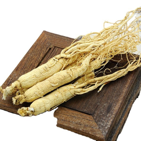 Pure Red Ginseng Manufacturer - 6 Year Old