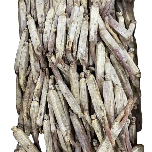 Korean Red Ginseng Supplier - Root Custom