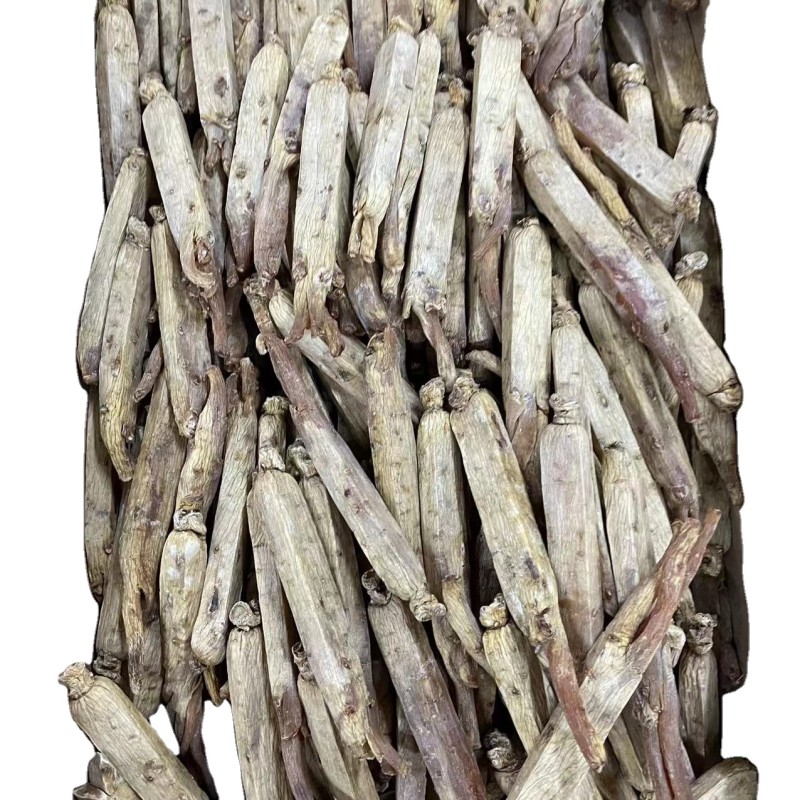 Korean Red Ginseng Supplier - Root Custom