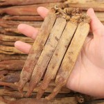 Red Goji Berries Supplier - Sweet Food Additive