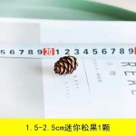 Mini Pine Cones Factory - Dried Christmas Decoration