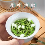 Noni Fruit Tea Supplier - Organic Custom Blend