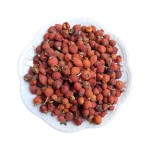 Rose Fruit Supplier - Bulk Dried Whole Fruit