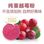 Dried Kiwifruit Manufacturer - Bulk Packaging