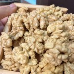 Agaricus Blazei Manufacturer - Mushroom Custom