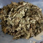 Dried Mint Supplier - Bulk Food Ingredient