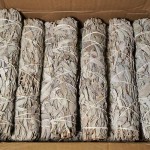 Dried White Sage Supplier - Bulk Wholesale Bagged