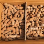 Bean Powder Oleoresin Factory - Custom Grinding