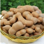 Bean Powder Oleoresin Factory - Custom Grinding