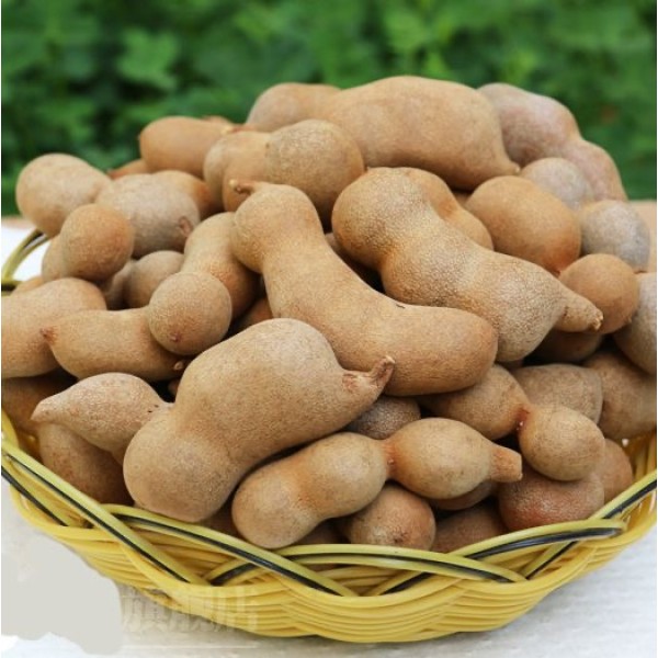 Bean Powder Oleoresin Factory - Custom Grinding