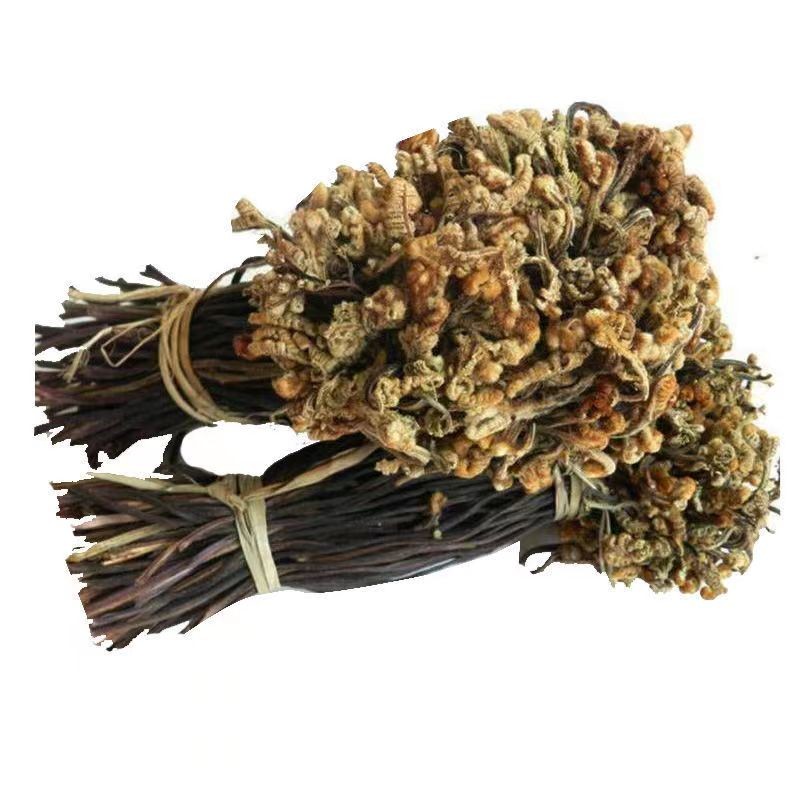 Hybrid Lettuce Seeds Supplier - Vegetable Bird Food