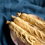 Red Ginseng Root Supplier - Whole Slice Custom