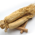 Changbai Mountain Ginseng Supplier - White Tail