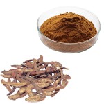 Lotus Leaf Extract Factory - Custom Extraction