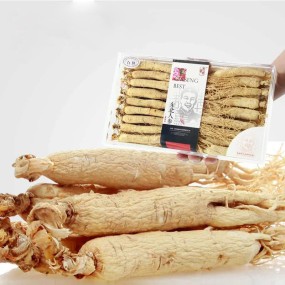 Red Panax Ginseng Manufacturer - Tea Powder