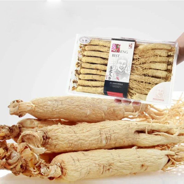 Red Panax Ginseng Manufacturer - Tea Powder