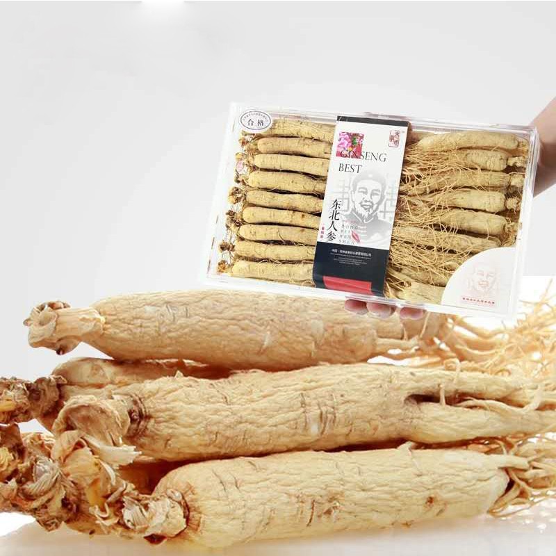 Red Panax Ginseng Manufacturer - Tea Powder