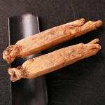 White Ginseng Root Factory - Wholesale Dried