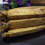 Ginseng Powder for Food Manufacturer - Capsule