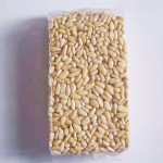 Dried Plum Powder Supplier - Preserved Fruit