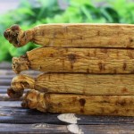 Panax Ginseng Gift Set Factory - Red Power Custom