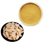 Astragalus Extract Powder Manufacturer - OEM