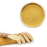 Astragalus Root Powder Factory - Custom Mill