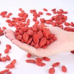 Organic Goji Market Price Supplier - Bulk