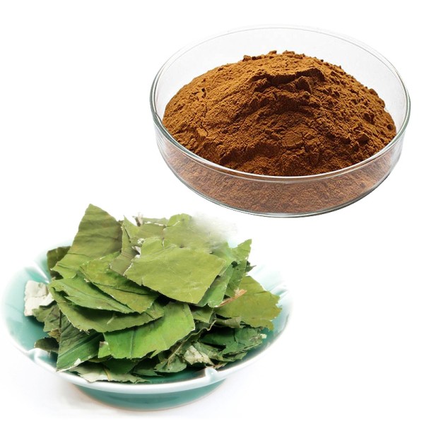 Ginseng Powder Supplier - Bulk Food Ingredient
