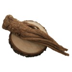 Compressed Black Fungus Manufacturer - Matsutake