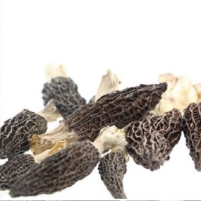 Morel Mushroom Wholesale Factory - Farm Fresh