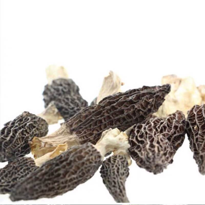 Morel Mushroom Wholesale Factory - Farm Fresh