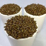 Split Cassia Tora Seeds Factory - Bulk Export