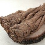 Compressed Black Fungus Manufacturer - Matsutake