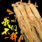 Changbai Mountain Ginseng Supplier - White Tail