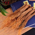 Red Panax Ginseng Manufacturer - Tea Powder