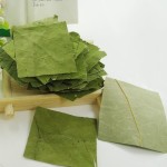 Ginseng Powder Supplier - Bulk Food Ingredient