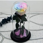 Dendrobium Powder Manufacturer - Granule Strip